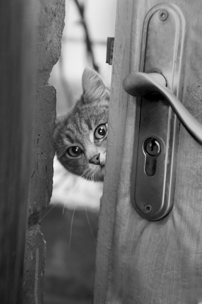 Photograph by Ольга Пуховникова