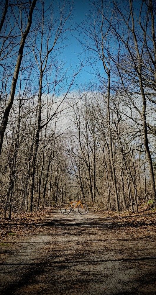 Photograph by Oleksandr