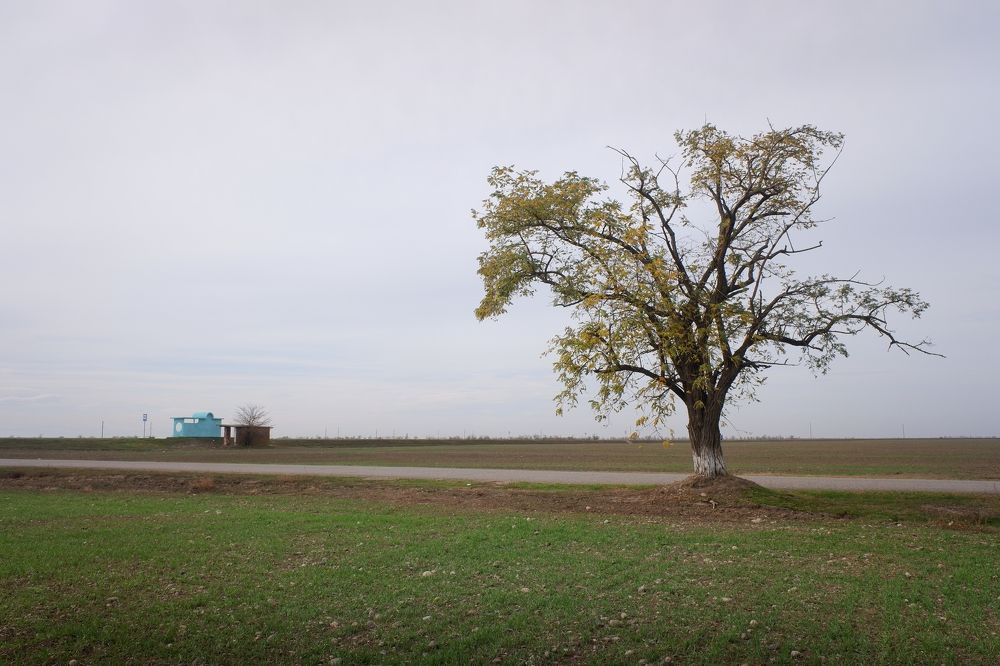 Photograph by Зорин Миша