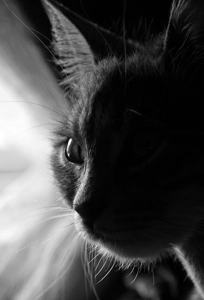 Photograph by Ольга Пуховникова