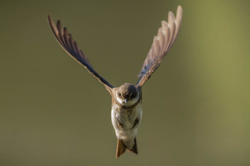 Photograph by George Alexandru Ghiuro