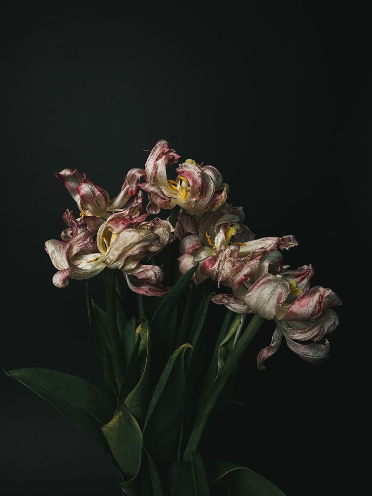 Photograph by Дина Чехова