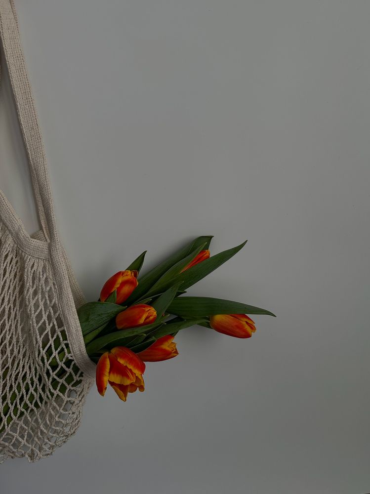 Photograph by Дина Чехова