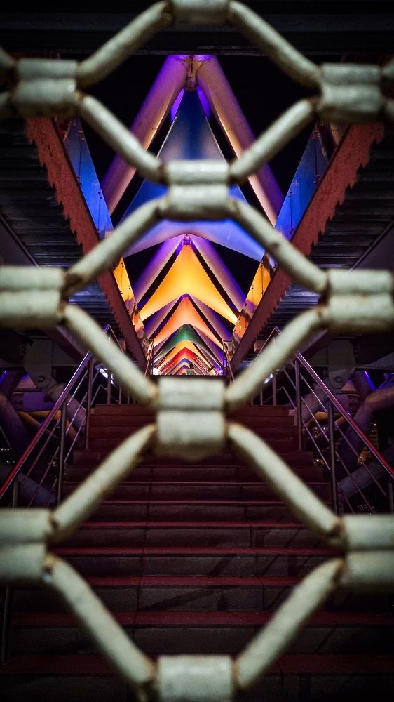 Photograph by Vidhya Darbar