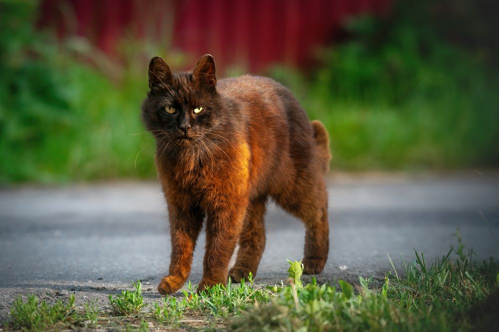 Photograph by Александр Соловьев