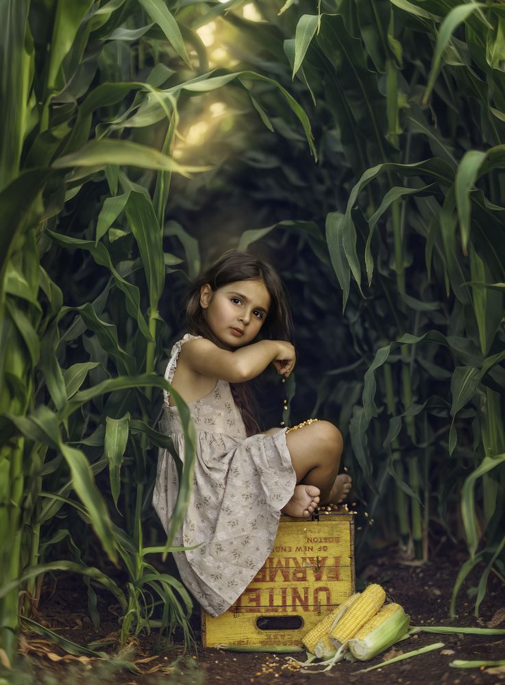 Photograph by Tahel Shenhav