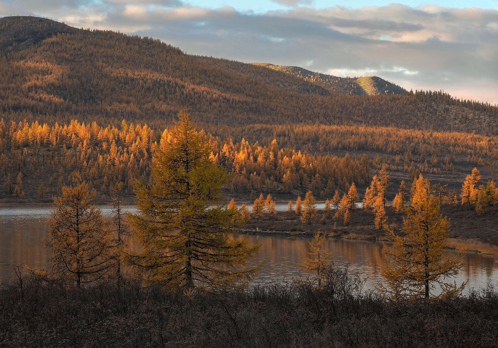 Photograph by Александр Попов