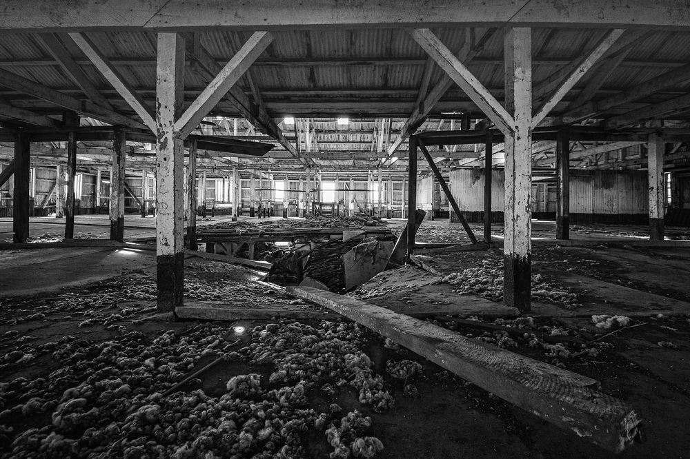 Фотография автора Carlos Gianoli