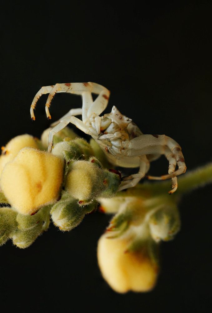 Фотография автора Любовь Маслова