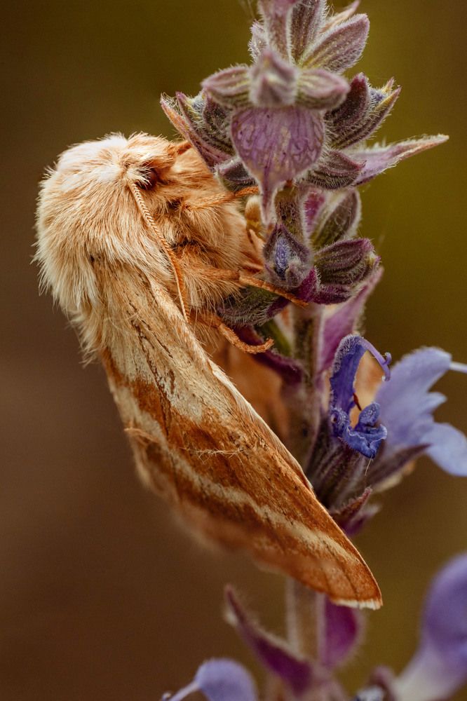 Фотография автора Любовь Маслова