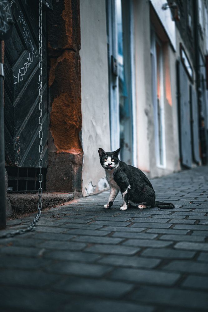 Photograph by Omer Gojak