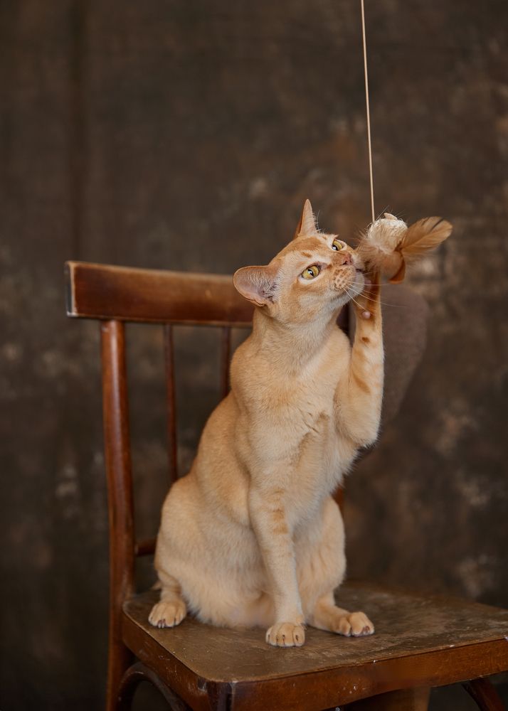 Photograph by Елена Харькова