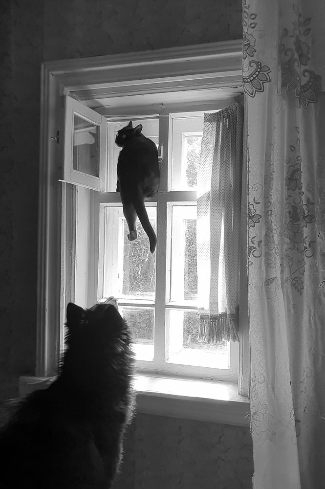 Жди здесь. Я скоро вернусь!