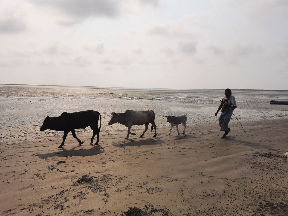Photograph by Aryama Bhattacharya