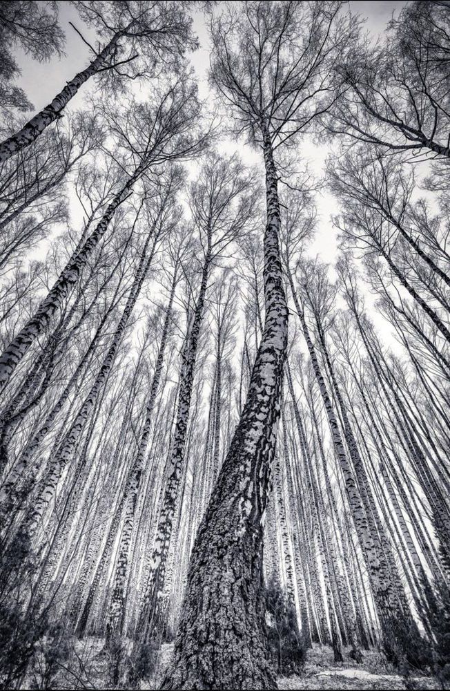 Photograph by Андрей Фадеев