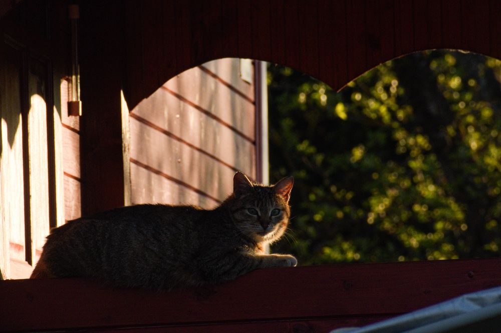 Photograph by Виталий Грачёв