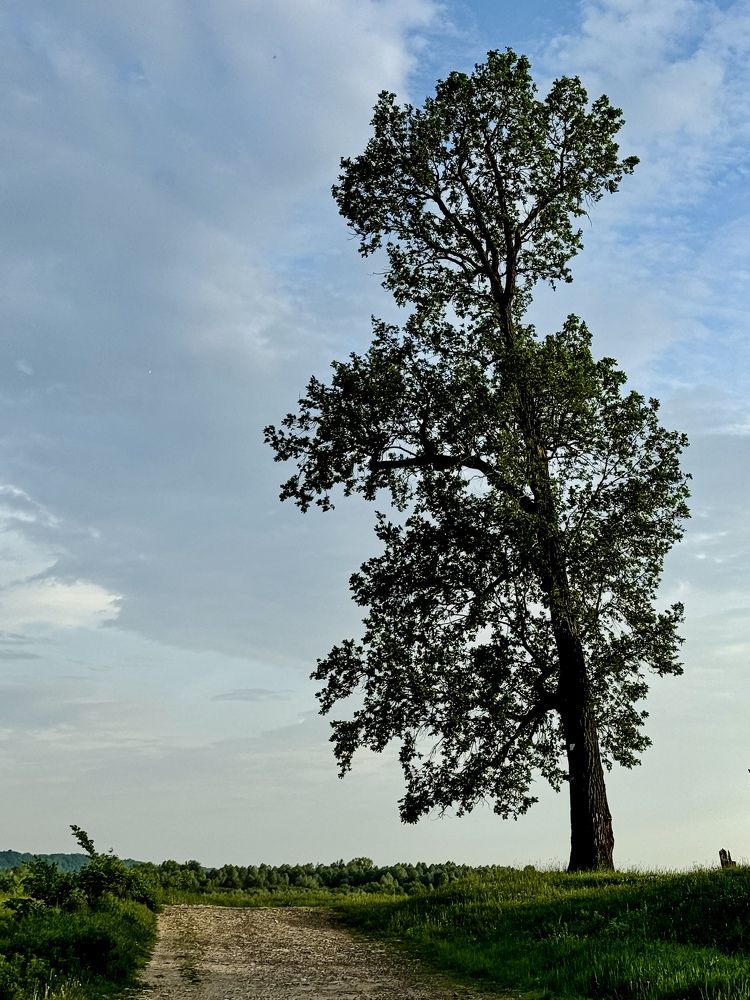 Photograph by Татьяна Зенина