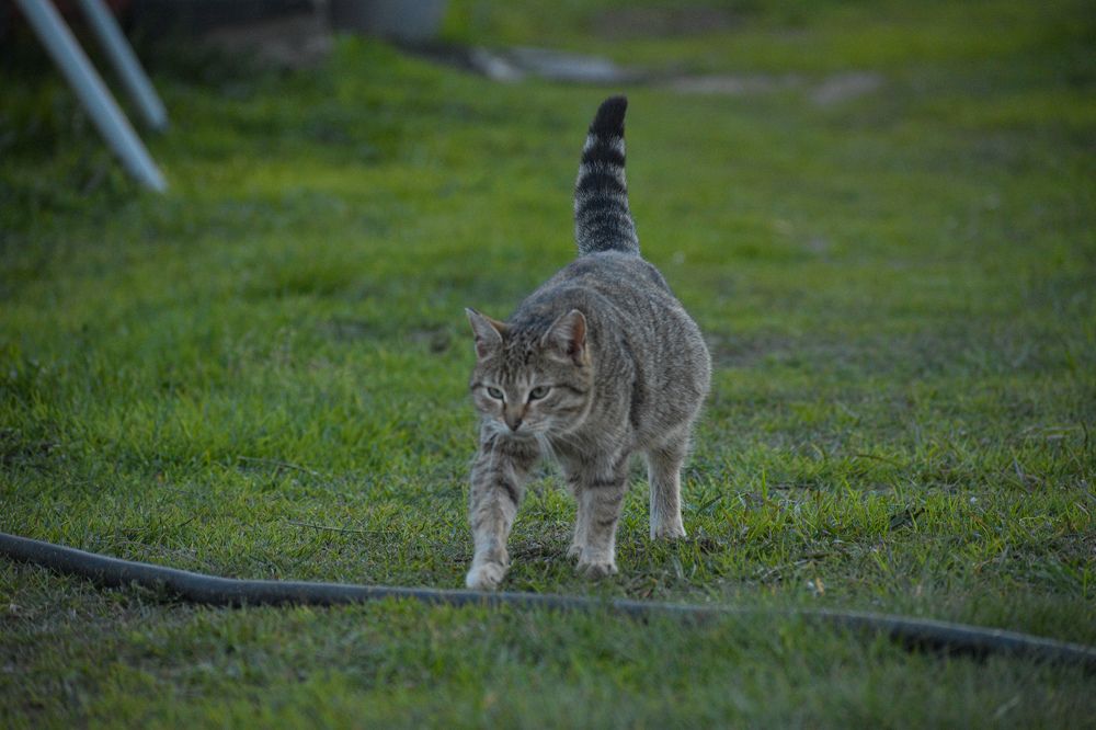 Photograph by Виталий Грачёв