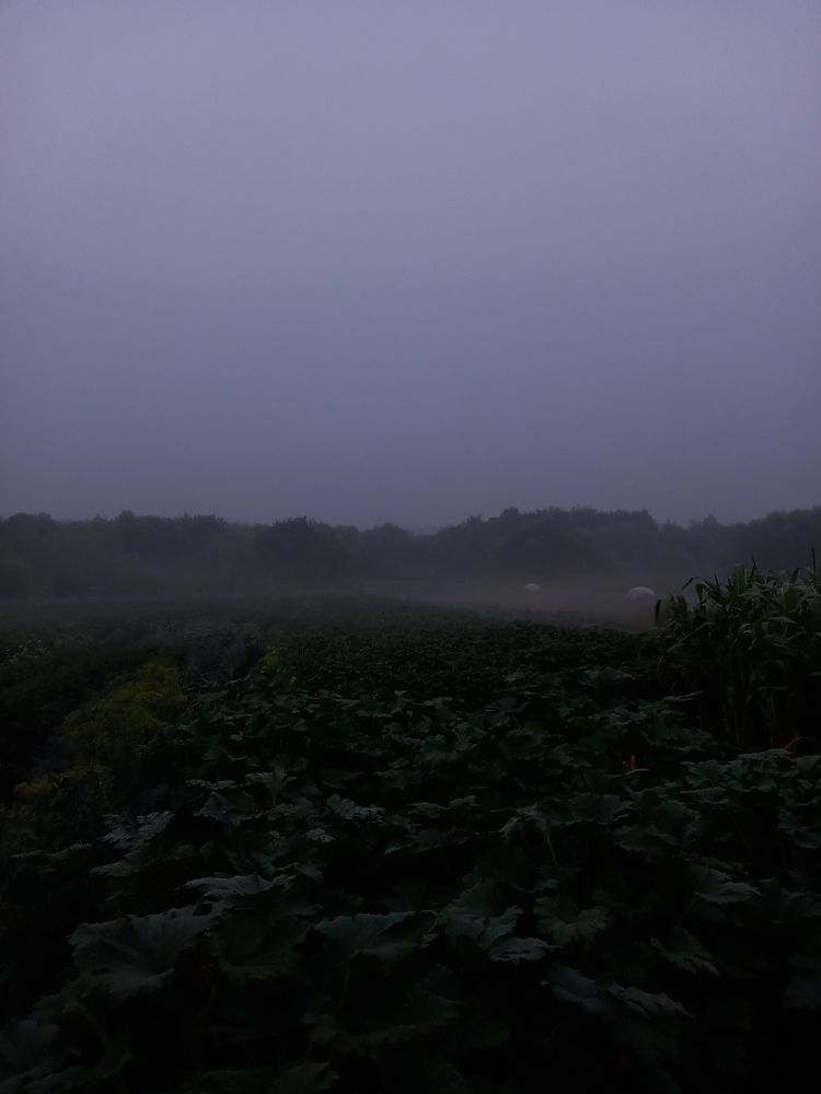 Photo #10712670