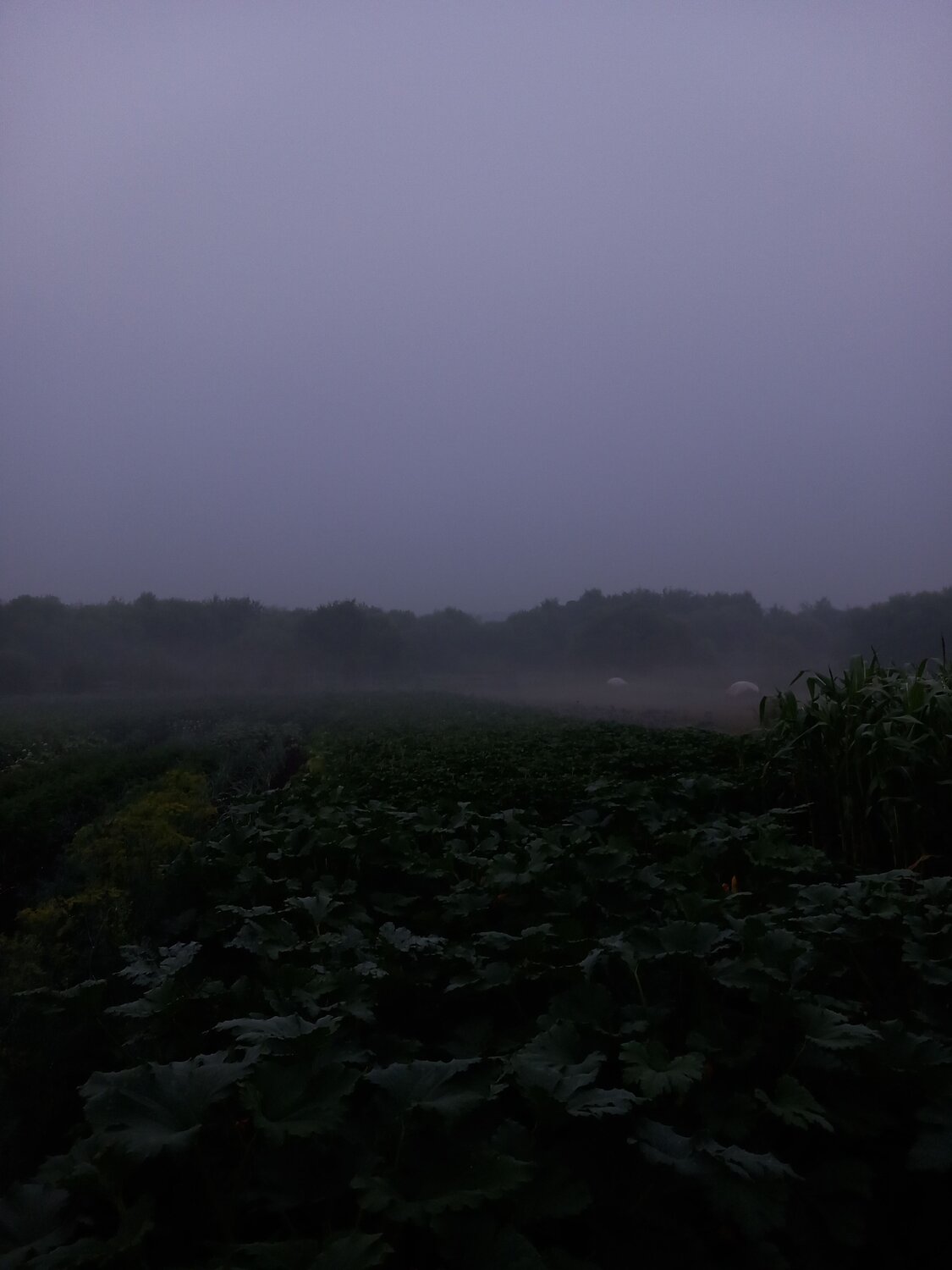 Photo #10712670