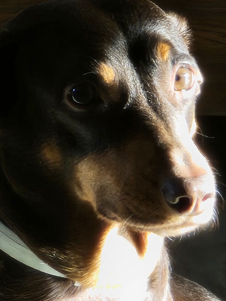 Photograph by Нина Новицкая