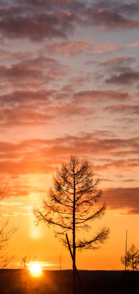 Photo #10712725