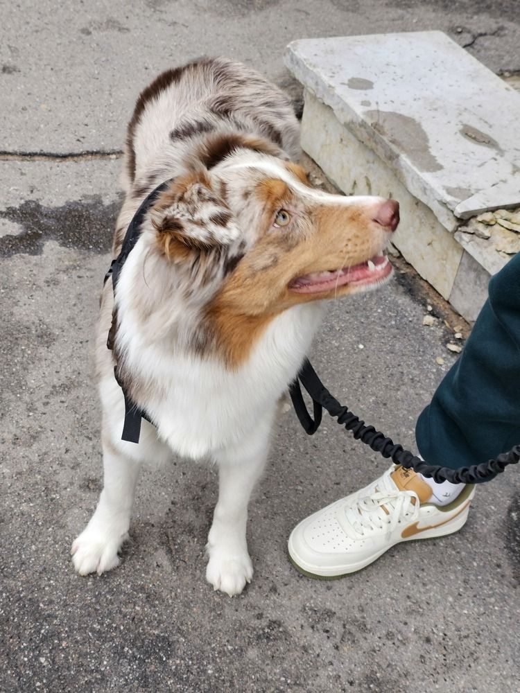 Photograph by Нина Новицкая