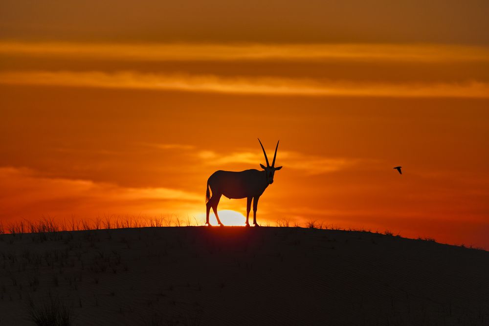 Photograph by Rémi Vacher