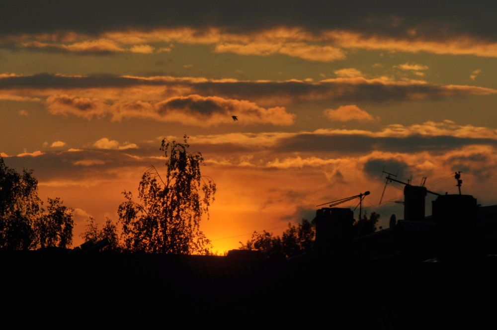 Photograph by Николай Леухин