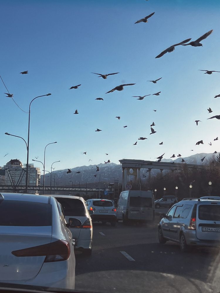 Photograph by Индира Кузнецова