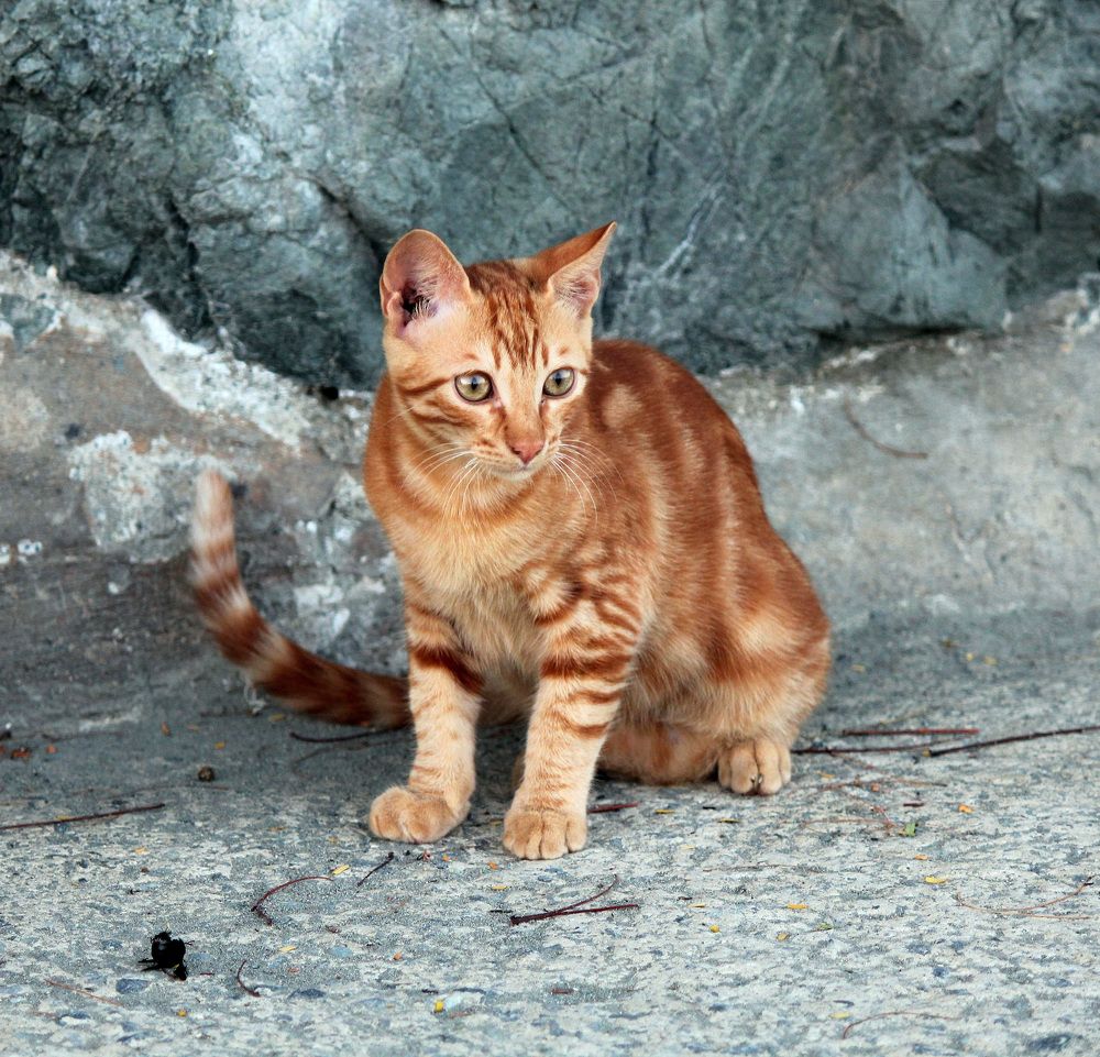 Photograph by Александр Бугаенко