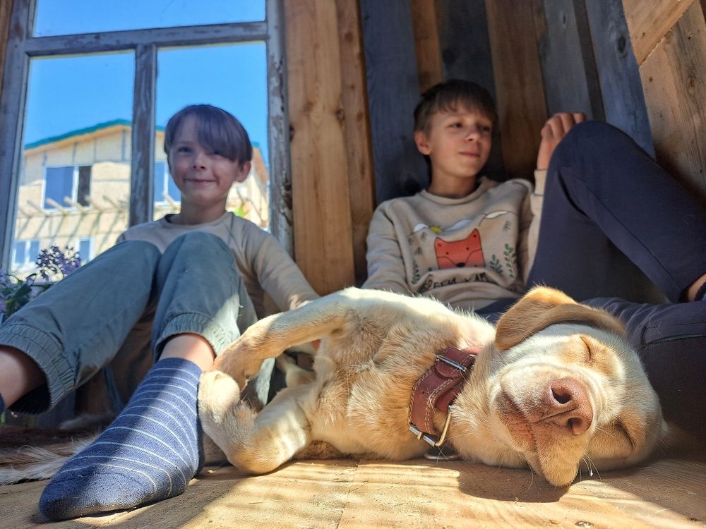 Photograph by Elena Poddubnaja