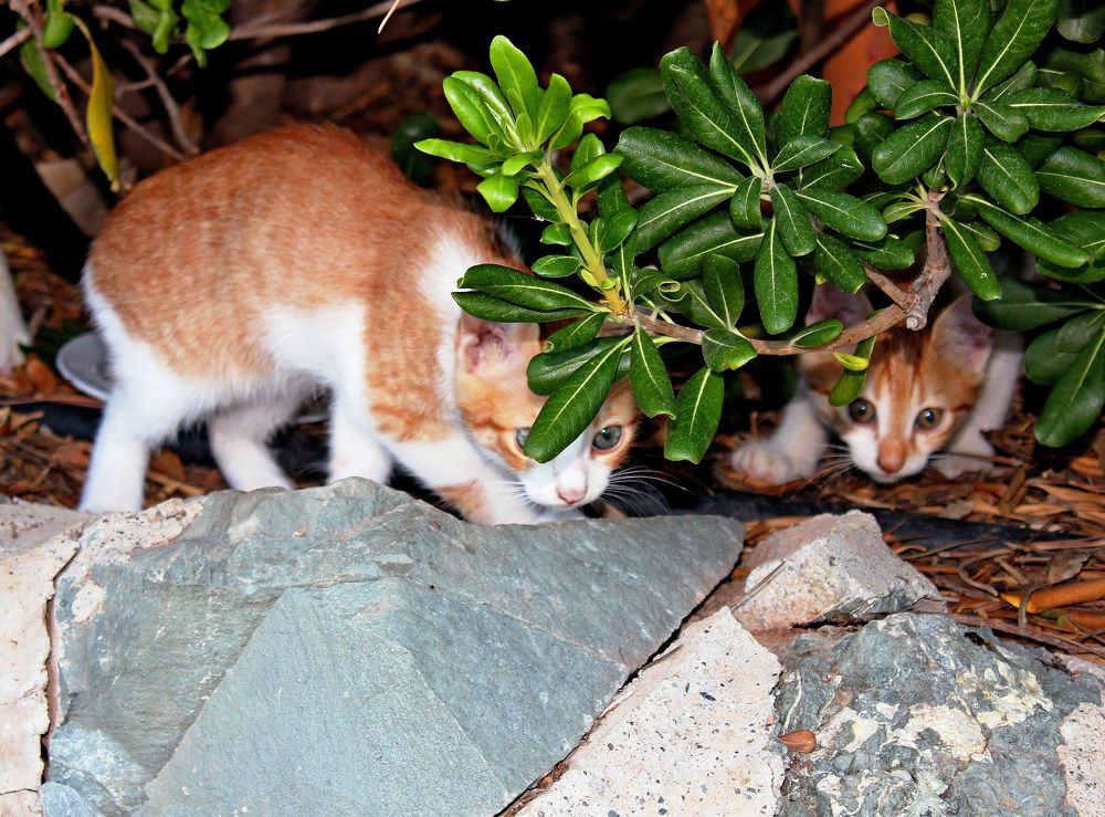 Photograph by Александр Бугаенко