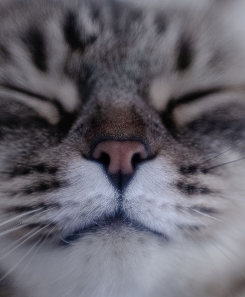 Photograph by Алексей Широбоков