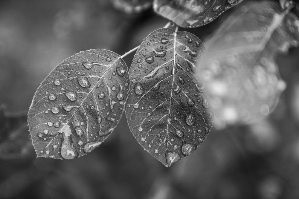 Photograph by Натали Захарова (Тай)