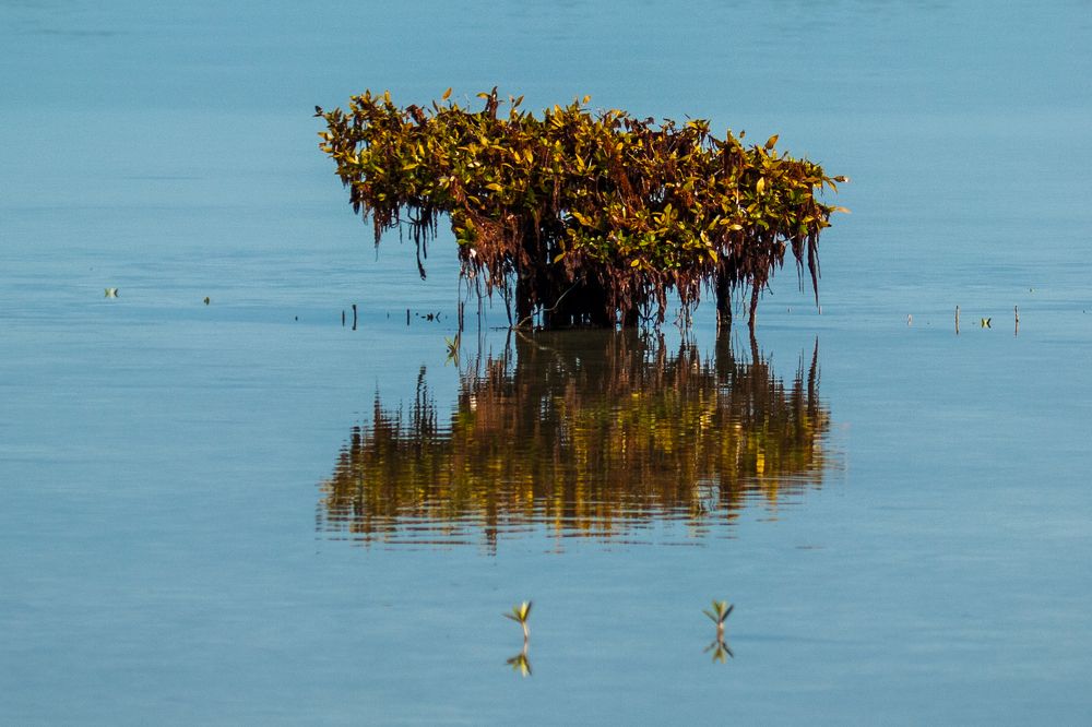 Photograph by Sarkar Arnab