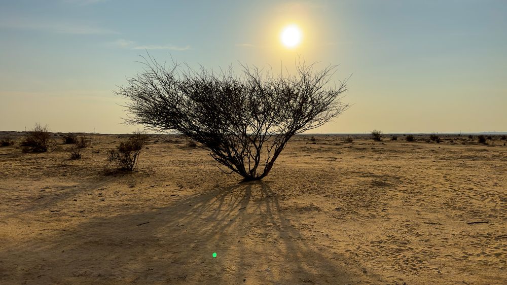 Photograph by Sarkar Arnab