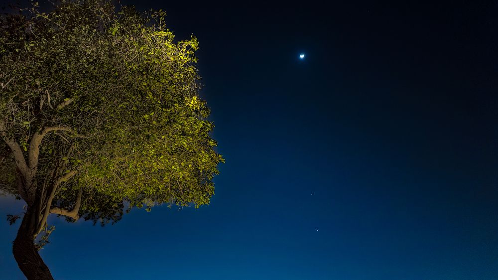 Photograph by Sarkar Arnab