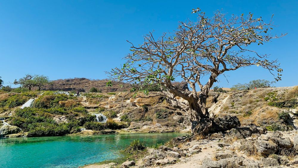 Photograph by Sarkar Arnab