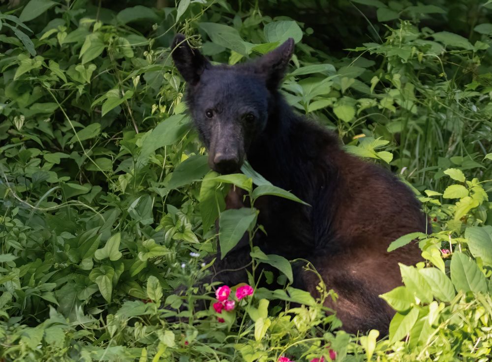 Photograph by Elaina Holland