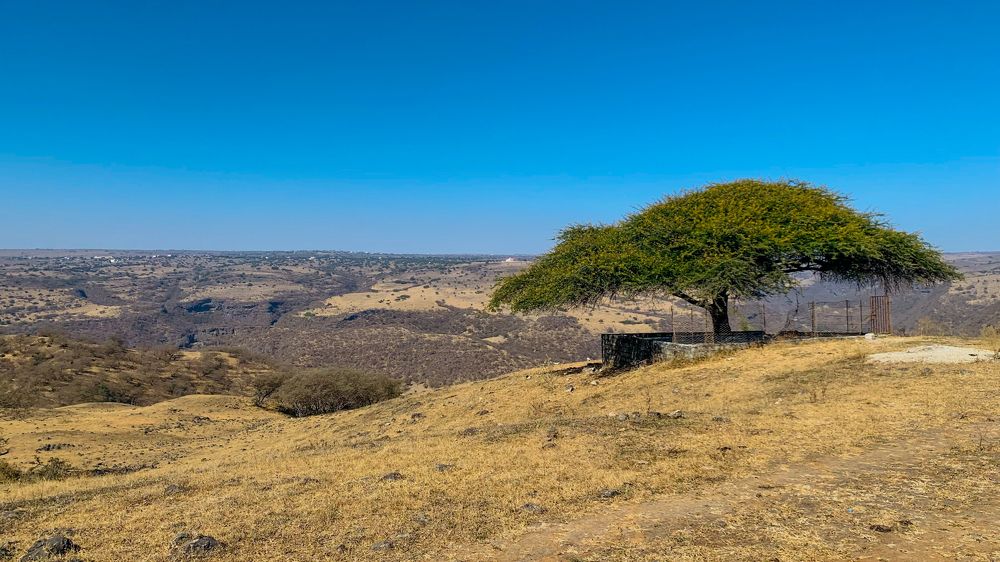 Photograph by Sarkar Arnab