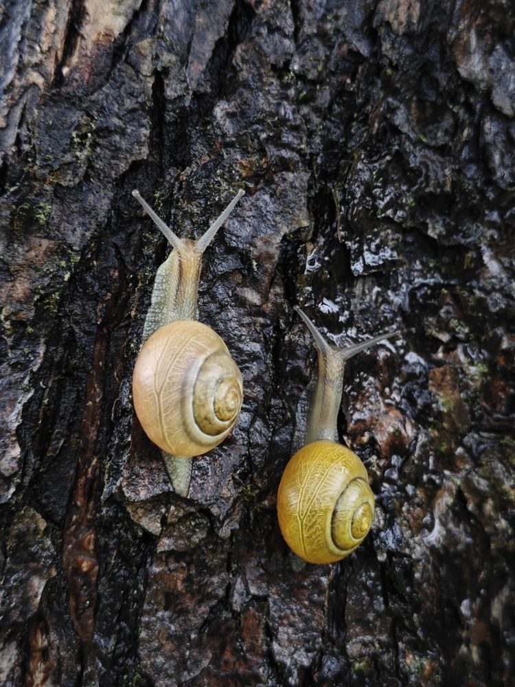 Photograph by Александра Шилова