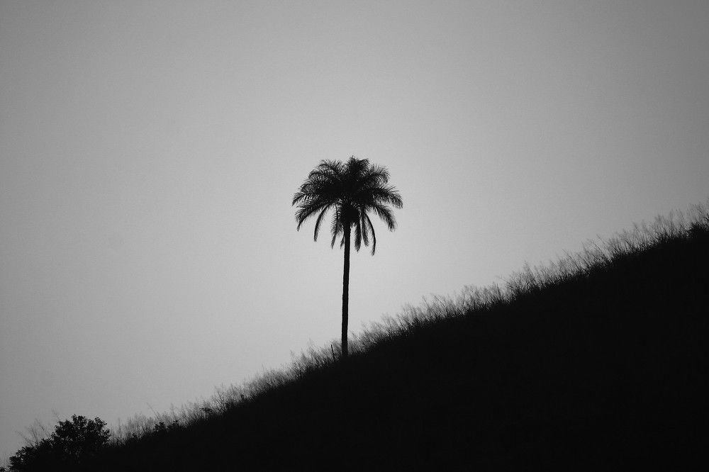 Photograph by Marie G