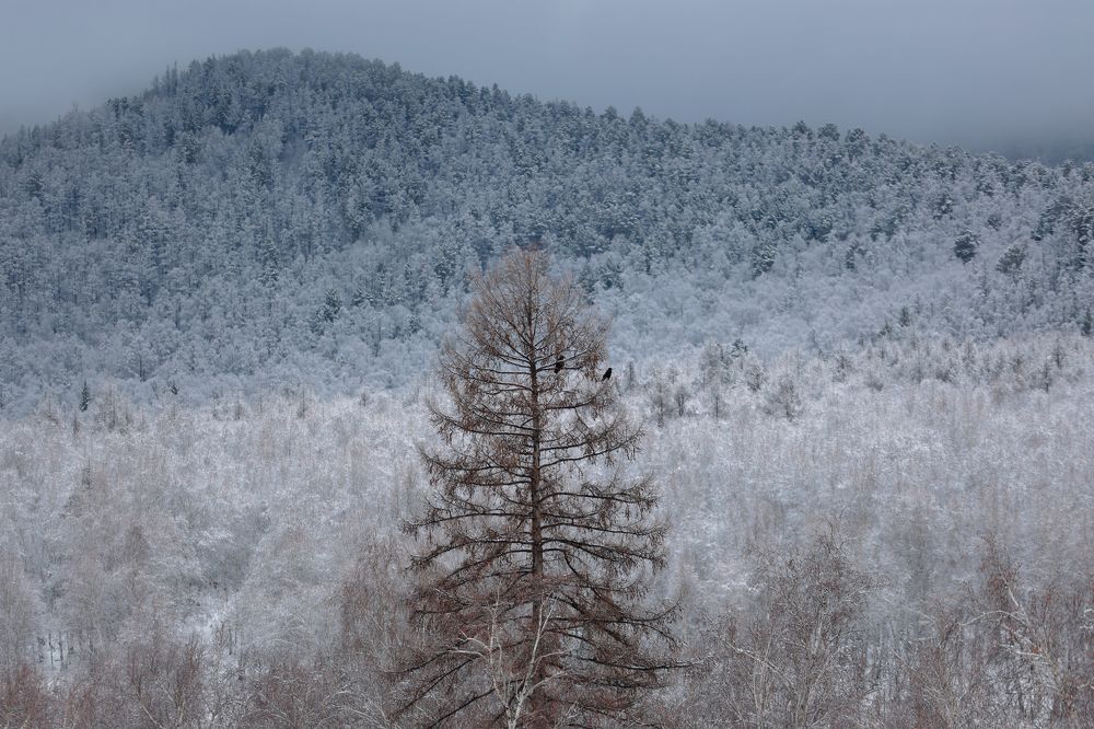 Photograph by Aleksey Maevskiy