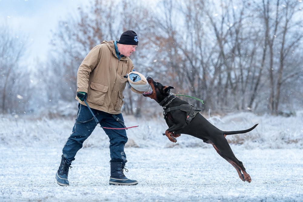 Photograph by Олег Гаричкин