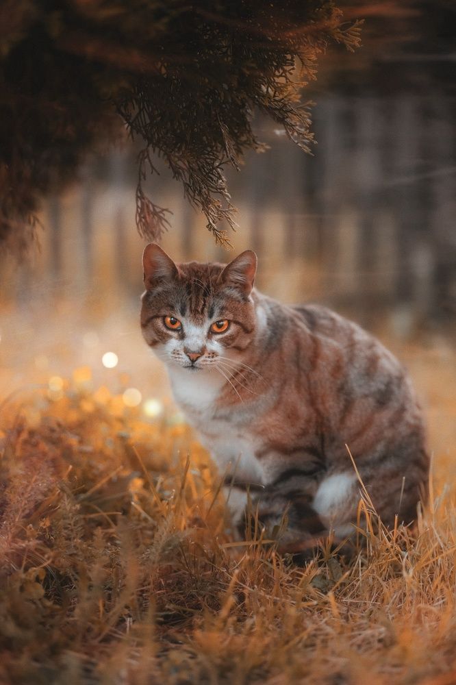 Photograph by Татьяна Максакова