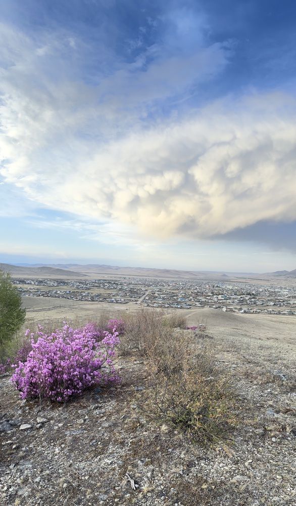 Photograph by Aleksey Maevskiy