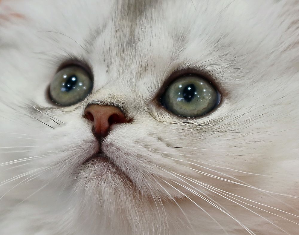 Photograph by Сергей Маслов