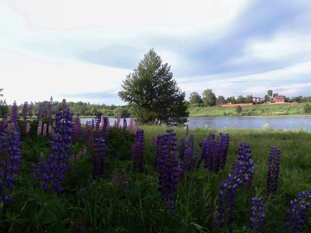 Photograph by Игорь Смирнов