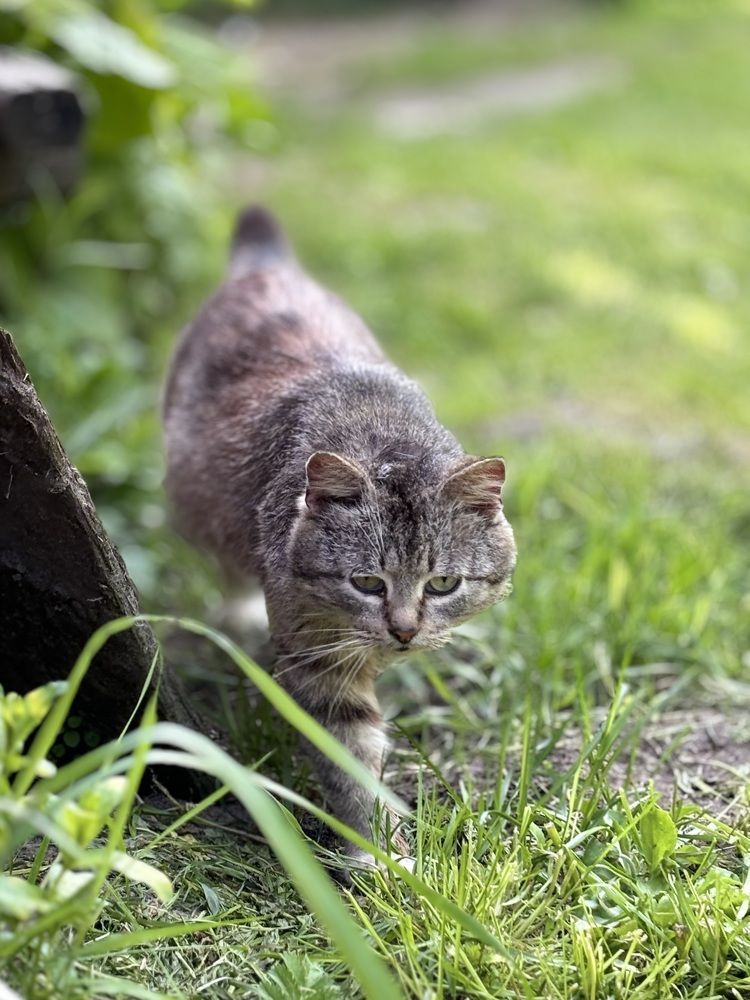 Photograph by Halina Mitsevich